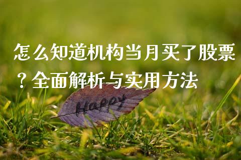 怎么知道机构当月买了股票？全面解析与实用方法_https://wap.letulww.com_融资租赁_第1张