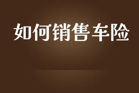 如何销售车险_https://wap.letulww.com_投资管理_第1张
