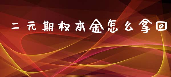 二元期权本金怎么拿回_https://wap.letulww.com_投资管理_第1张