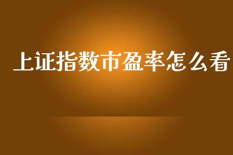 上证指数市盈率怎么看_https://wap.letulww.com_外汇交易_第1张