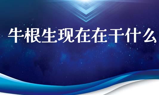 牛根生现在在干什么_https://wap.letulww.com_外汇交易_第1张