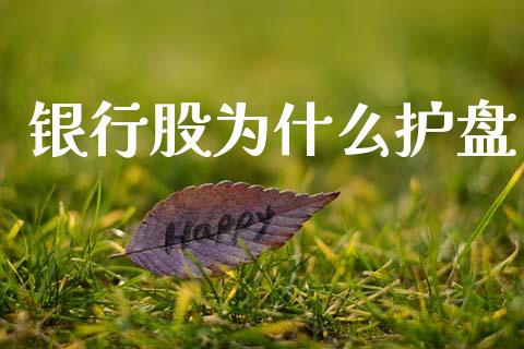 银行股为什么护盘_https://wap.letulww.com_投资管理_第1张