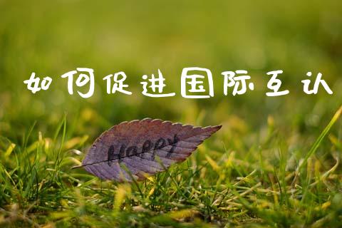 如何促进国际互认_融资租赁_第1张_外汇交易_投资策略_融资租赁_投资管理 如何促进国际互认_https://wap.letulww.com_融资租赁_第1张
