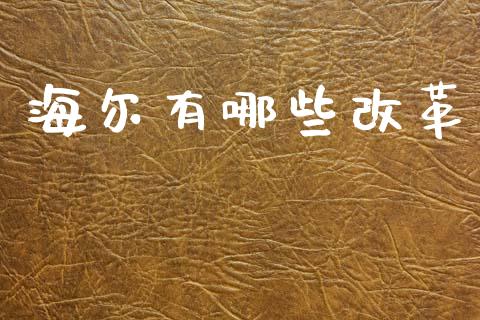 海尔有哪些改革_https://wap.letulww.com_投资管理_第1张