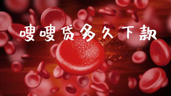 嗖嗖贷多久下款_https://wap.letulww.com_投资策略_第1张