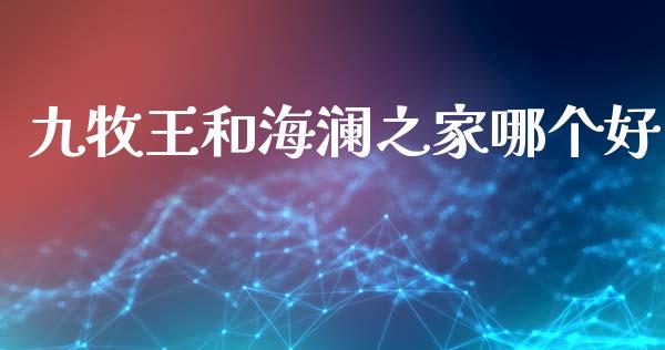 九牧王和海澜之家哪个好_https://wap.letulww.com_融资租赁_第1张