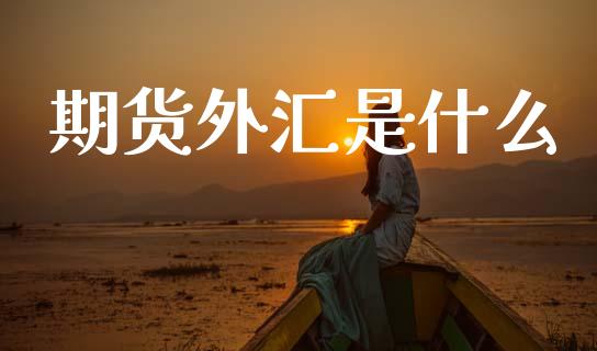 期货外汇是什么_https://wap.letulww.com_投资管理_第1张