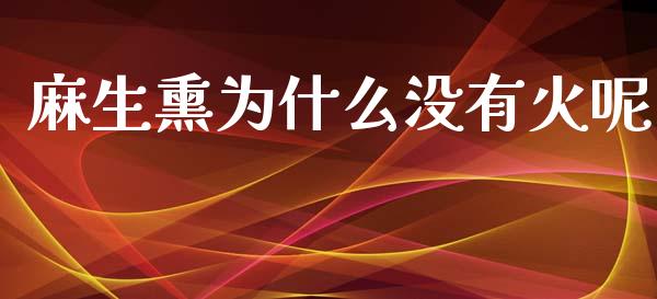 麻生熏为什么没有火呢_https://wap.letulww.com_融资租赁_第1张