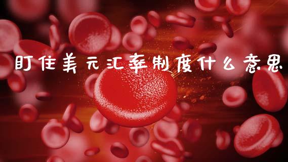 盯住美元汇率制度什么意思_https://wap.letulww.com_融资租赁_第1张