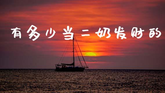 有多少当二奶发财的_https://wap.letulww.com_融资租赁_第1张