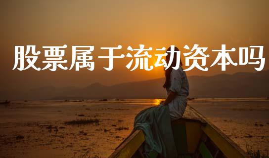 股票属于流动资本吗_https://wap.letulww.com_融资租赁_第1张