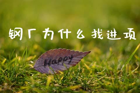 钢厂为什么找进项_https://wap.letulww.com_投资管理_第1张