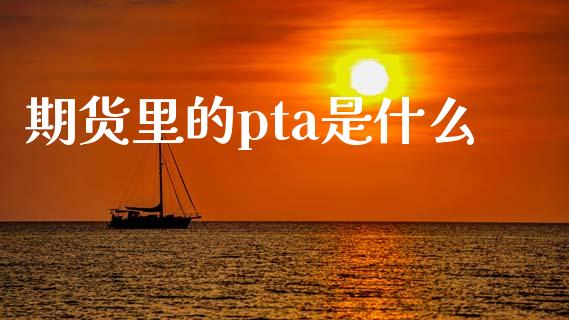 期货里的pta是什么_https://wap.letulww.com_投资策略_第1张