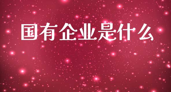 国有企业是什么_https://wap.letulww.com_外汇交易_第1张