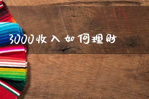 3000收入如何理财_https://wap.letulww.com_融资租赁_第1张