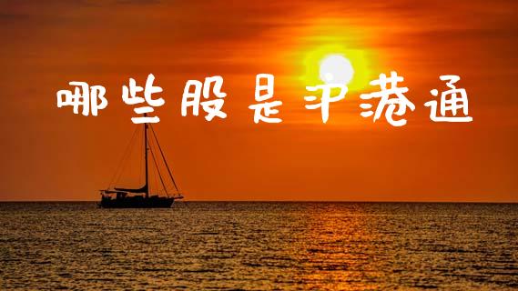 哪些股是沪港通_https://wap.letulww.com_融资租赁_第1张