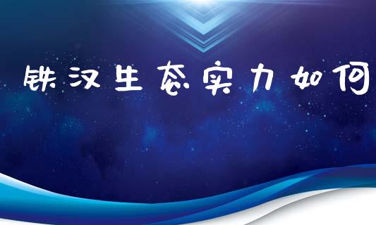铁汉生态实力如何_https://wap.letulww.com_投资策略_第1张