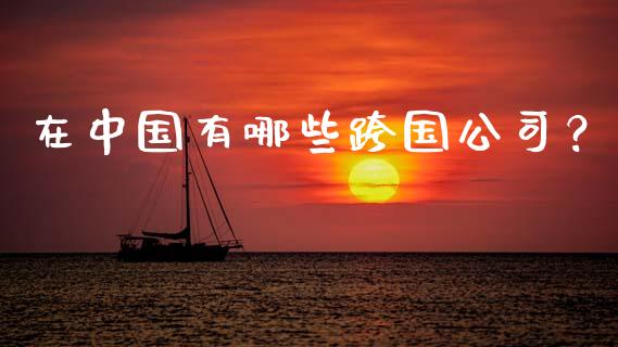 在中国有哪些跨国公司?_投资管理_第1张_外汇交易_投资策略_融资租赁_投资管理 在中国有哪些跨国公司?_https://wap.letulww.com_投资管理_第1张