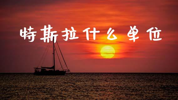 特斯拉什么单位_https://wap.letulww.com_投资管理_第1张