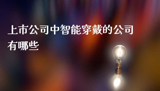 上市公司中智能穿戴的公司有哪些_https://wap.letulww.com_投资策略_第1张