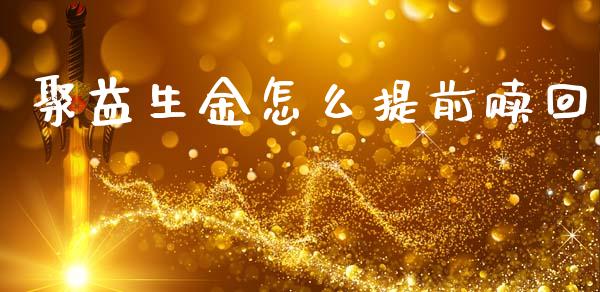 聚益生金怎么提前赎回_https://wap.letulww.com_融资租赁_第1张