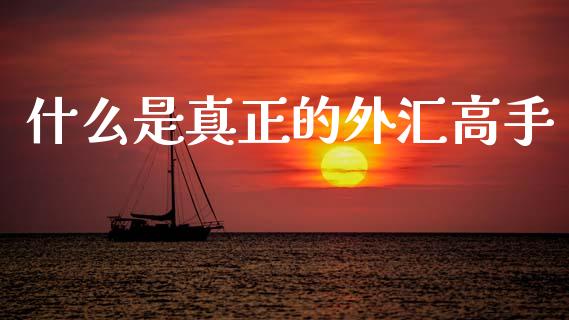 什么是真正的外汇高手_https://wap.letulww.com_投资策略_第1张