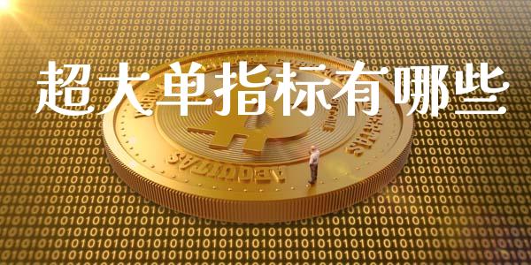 超大单指标有哪些_https://wap.letulww.com_融资租赁_第1张