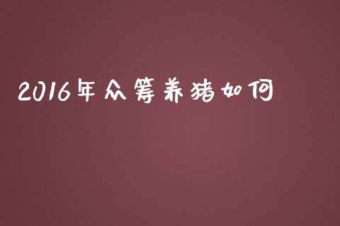 2016年众筹养猪如何_https://wap.letulww.com_投资策略_第1张