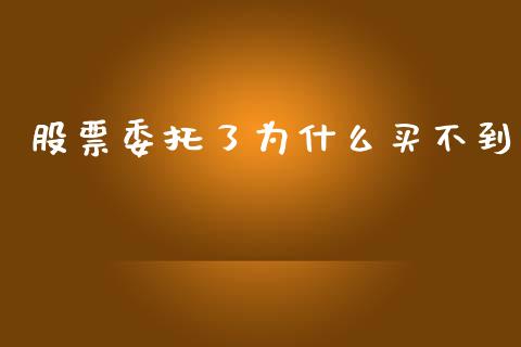 股票委托了为什么买不到_https://wap.letulww.com_融资租赁_第1张