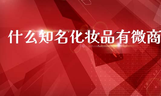 什么知名化妆品有微商_https://wap.letulww.com_投资策略_第1张