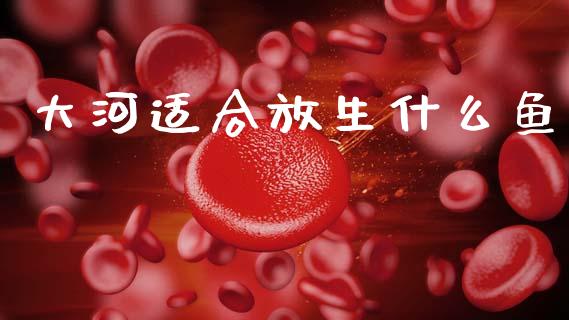大河适合放生什么鱼_https://wap.letulww.com_融资租赁_第1张