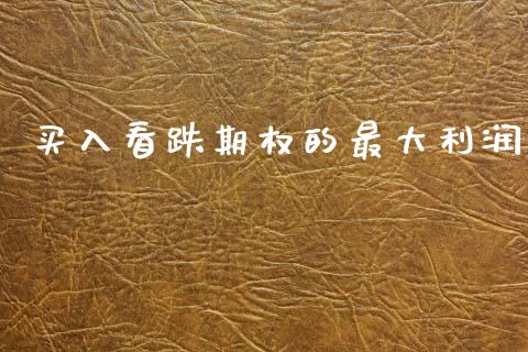 买入看跌期权的最大利润_https://wap.letulww.com_投资策略_第1张
