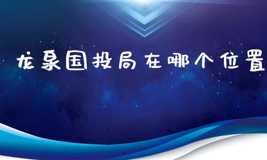 龙泉国投局在哪个位置_https://wap.letulww.com_融资租赁_第1张