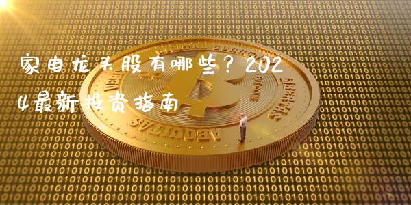 家电龙头股有哪些？2024最新投资指南_https://wap.letulww.com_融资租赁_第1张