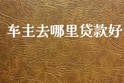 车主去哪里贷款好_https://wap.letulww.com_投资管理_第1张