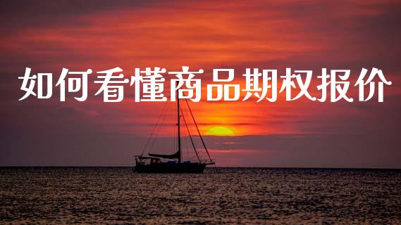 如何看懂商品期权报价_https://wap.letulww.com_投资策略_第1张