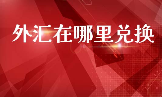 外汇在哪里兑换_https://wap.letulww.com_投资管理_第1张