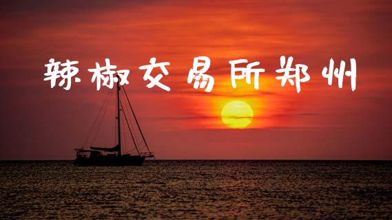 辣椒交易所郑州_https://wap.letulww.com_外汇交易_第1张