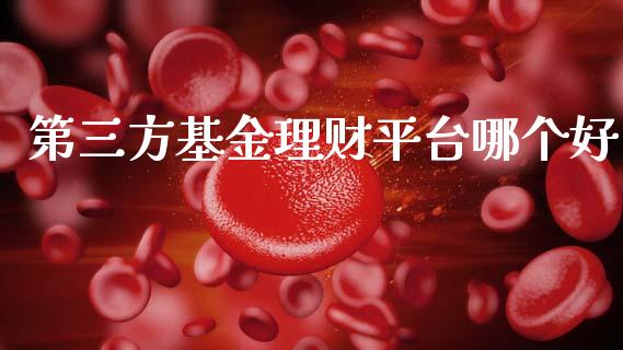 第三方基金理财平台哪个好_https://wap.letulww.com_外汇交易_第1张