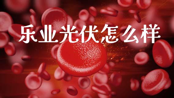 乐业光伏怎么样_https://wap.letulww.com_投资管理_第1张