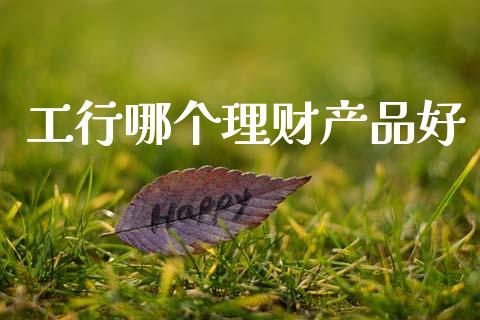 工行哪个理财产品好_https://wap.letulww.com_投资策略_第1张
