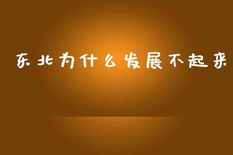 东北为什么发展不起来_https://wap.letulww.com_外汇交易_第1张