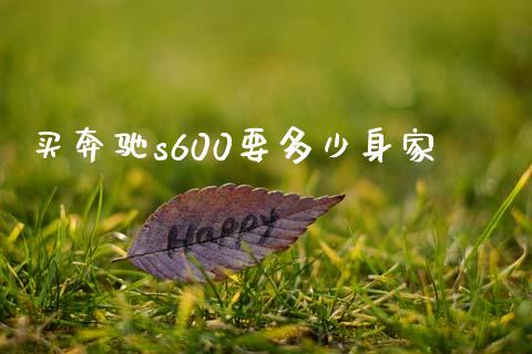 买奔驰s600要多少身家_https://wap.letulww.com_投资策略_第1张