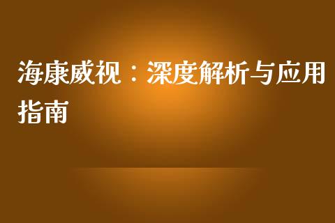 海康威视：深度解析与应用指南_https://wap.letulww.com_投资策略_第1张