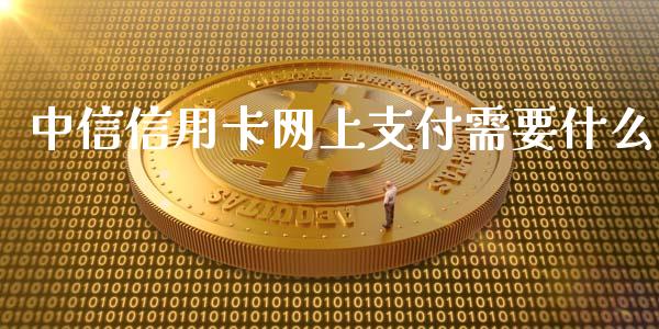 中信信用卡网上支付需要什么_https://wap.letulww.com_融资租赁_第1张