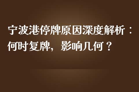 宁波港停牌原因深度解析：何时复牌，影响几何？_https://wap.letulww.com_投资策略_第1张