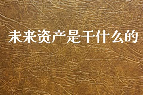 未来资产是干什么的_https://wap.letulww.com_投资策略_第1张