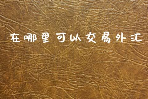 在哪里可以交易外汇_https://wap.letulww.com_融资租赁_第1张