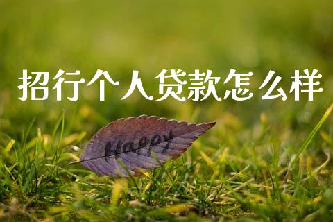 招行个人贷款怎么样_https://wap.letulww.com_融资租赁_第1张