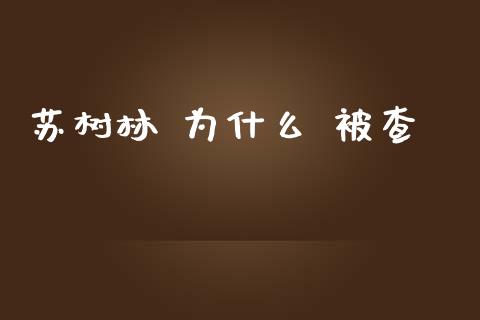 苏树林 为什么 被查_https://wap.letulww.com_投资管理_第1张